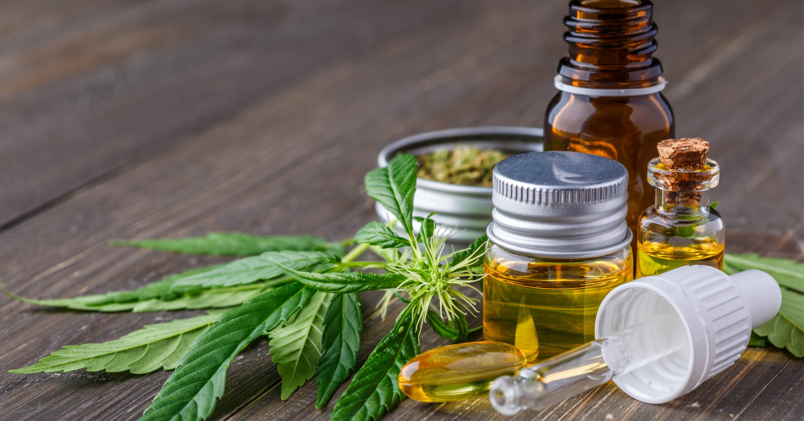 Estrazione Dei Terpeni Ed Estrazione Dei Cannabinoidi Dalla Canapa