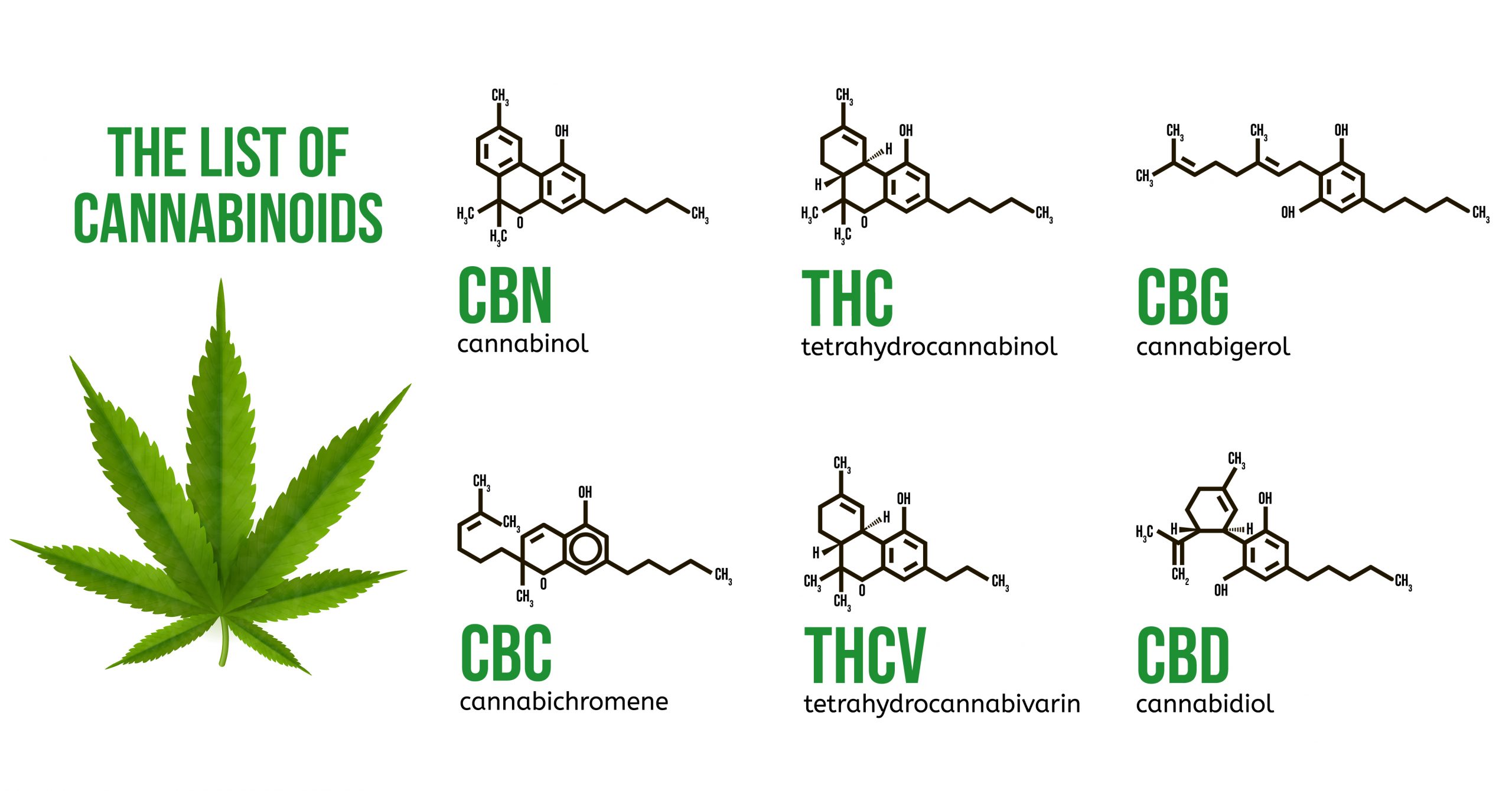 Estrazione Dei Cannabinoidi Con Solvente O Con CO2 Supercritica
