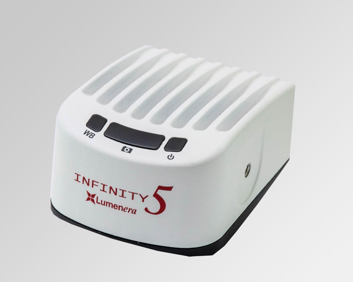 CV Lumenera - Nuova camera digitale Lumenera Scientific